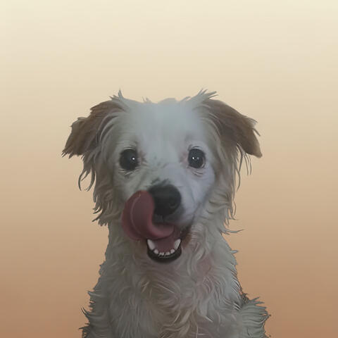 Pablo y Su Perro Teddy