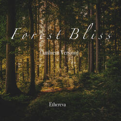 Forest Bliss (Ambient Version)