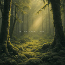 Moss and Light