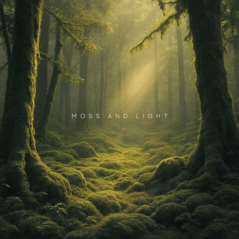 Moss and Light