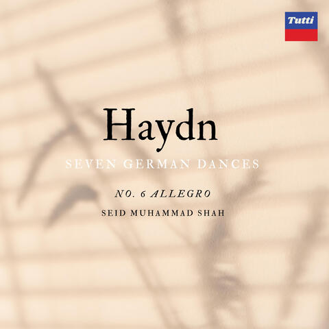 Haydn SGD: Allegro No.6