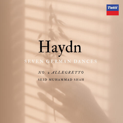 Haydn SGD: Allegretto No.2