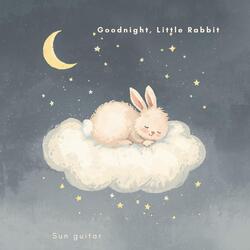 Goodnight, Little Rabbit