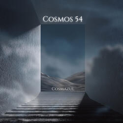 Cosmos 54