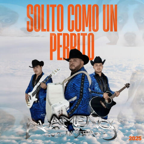 Solito Como Un Perrito