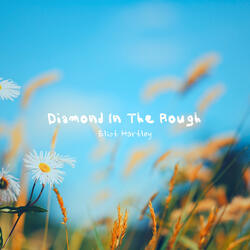 Diamond In The Rough