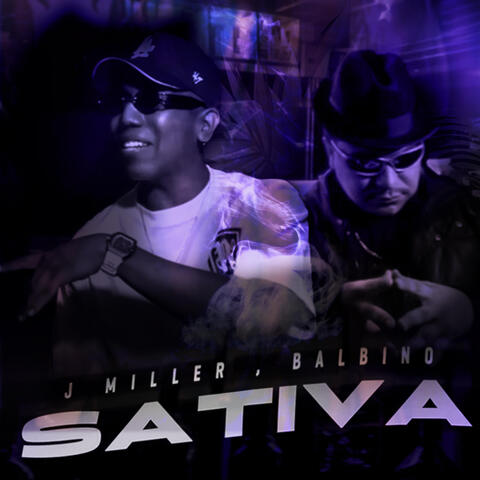 SATIVA