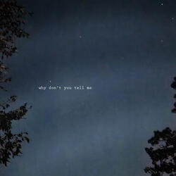 Why Don't You Tell Me