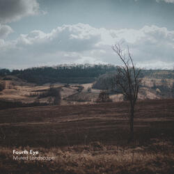 Muted Landscape
