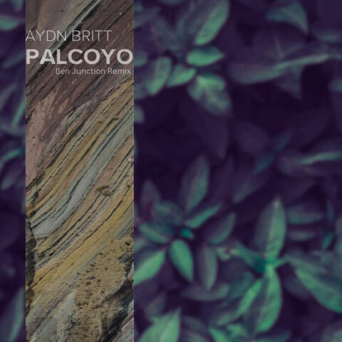 Palcoyo