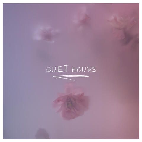 Quiet Hours