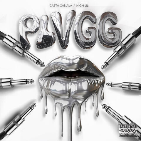 PLVGG