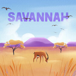 Savannah