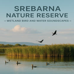 Tawny Owl and Grey Heron - Srebarna Reserve | Nature Atmosphere Pt.15