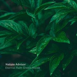 Eternal Rain Green Noise