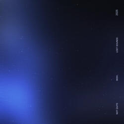 not quite (slowed + reverb)