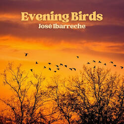 Evening Birds