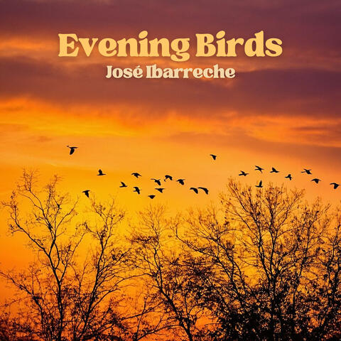 Evening Birds