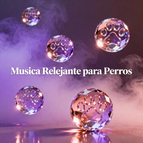 Puertas Abiertas al Silencio Eterno