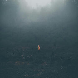 Dreams in Slow Motion