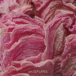 Serendipitous Pink Noise