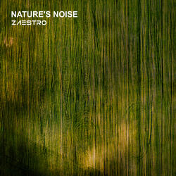 Nature's Noise