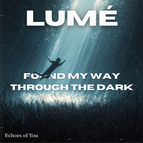 Found My Way Through The Dark