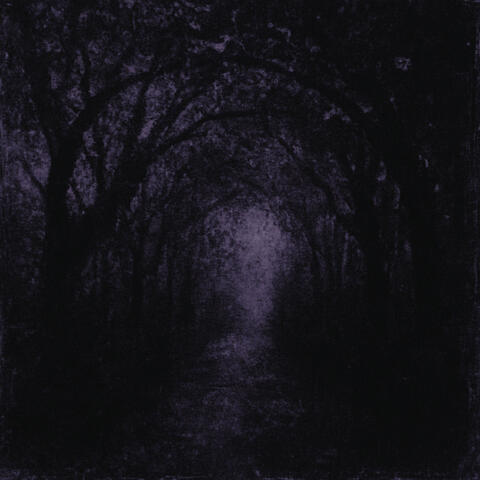 If i can do it why can't you