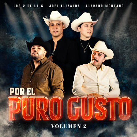 Por El Puro Gusto Vol. 2