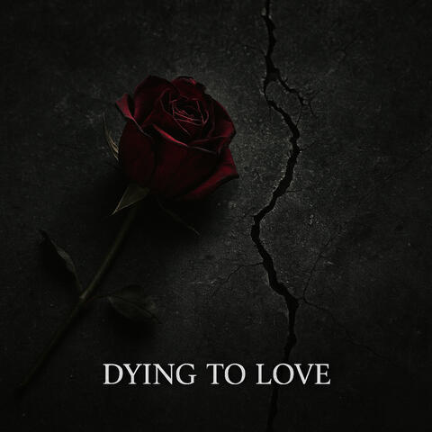 Dying To Love