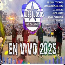 en Vivo 2025