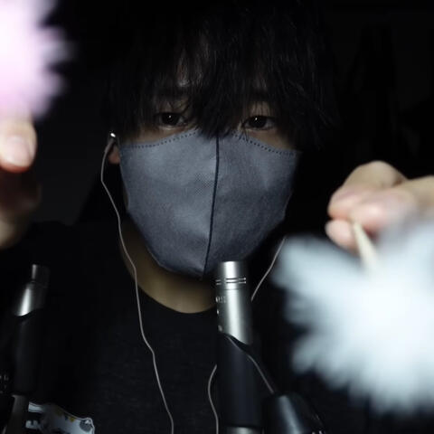 Fluffy Brahma ASMR That Will Put You to Sleep in Seconds