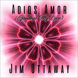 Adios Amor (Goodbye My Love)