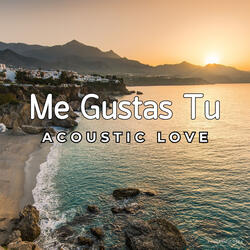 Me Gustas Tu