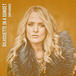 Silhouette In a Sunset