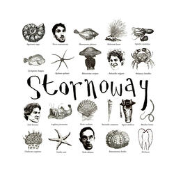 Beachcomber's Windowsill