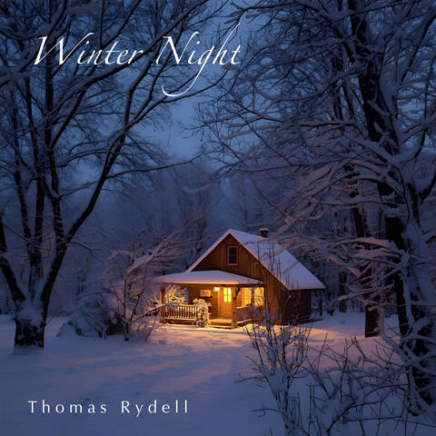 Winter Night