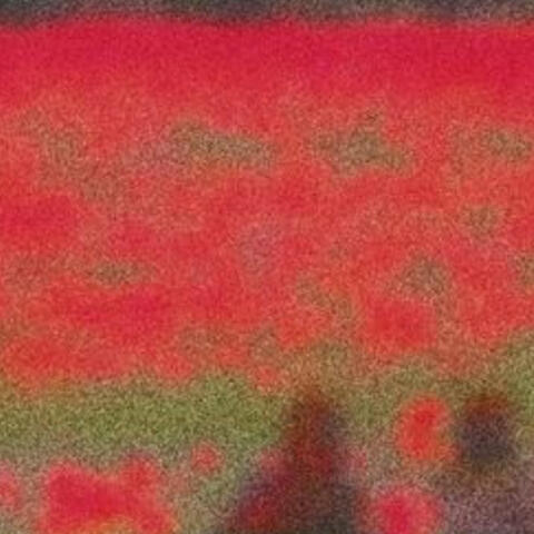 Late Night In Colour