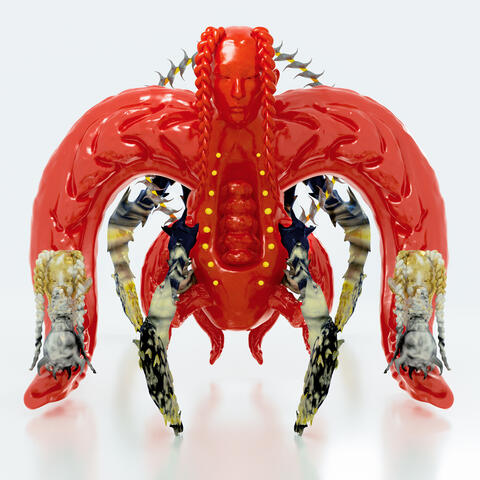 Arthropods Continent