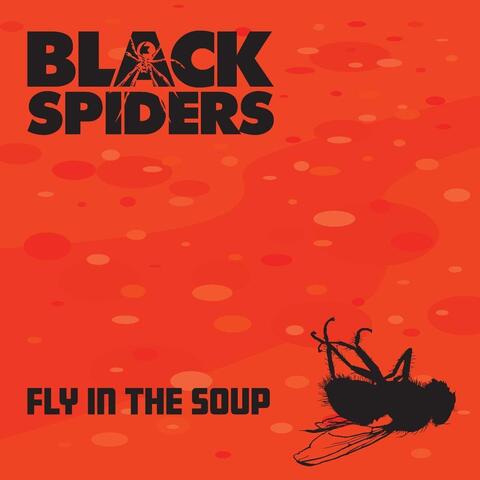 Fly in the Soup