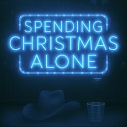 Spending Christmas Alone