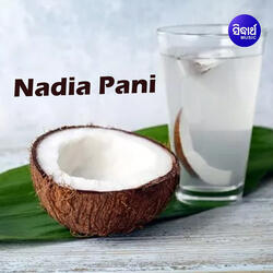 Sajani Lo Sindura Phatilani