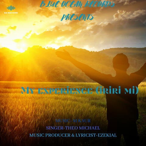 My experience (iriri mi)
