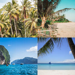 Christmas Holidays (Joy to the World)