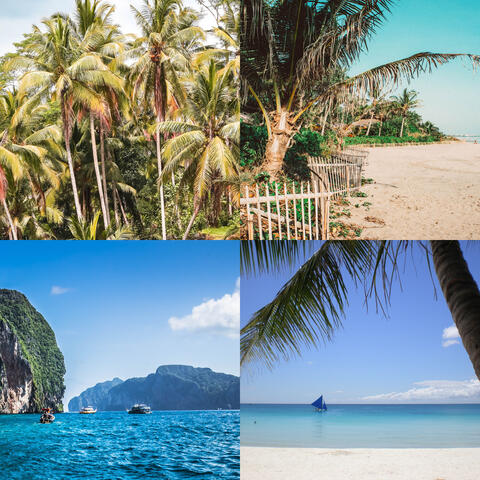 Christmas at the Beach We Wish you a Merry Christmas