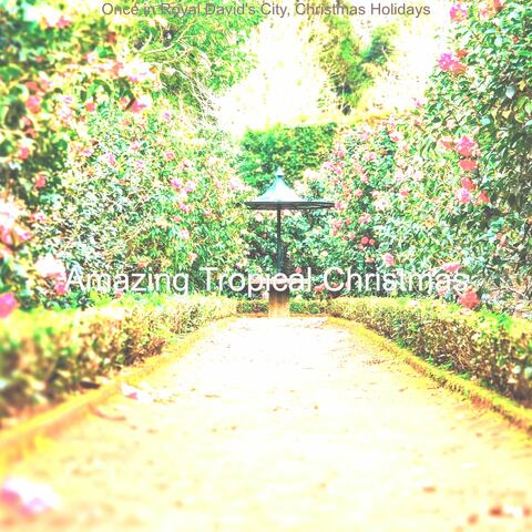 Once in Royal David's City, Christmas Holidays