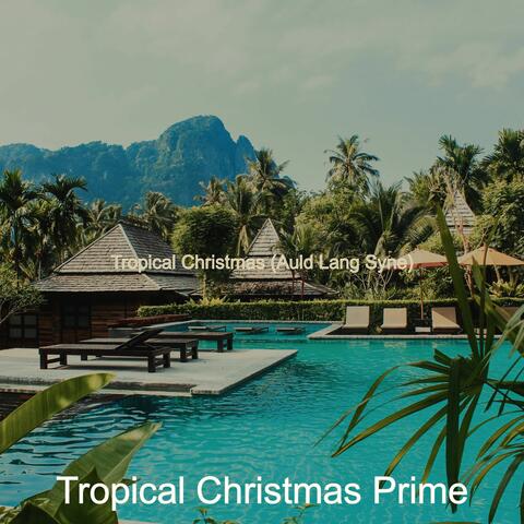 Tropical Christmas (Auld Lang Syne)