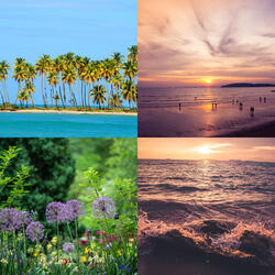 (In the Bleak Midwinter) Tropical Christmas