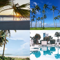 It Came Upon the Midnight Clear, Christmas in Paradise