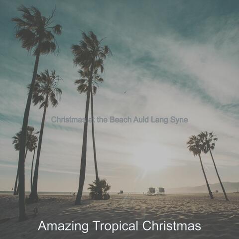 Christmas at the Beach Auld Lang Syne